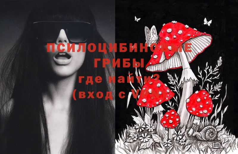 Псилоцибиновые грибы Magic Shrooms  закладки  Новоульяновск 